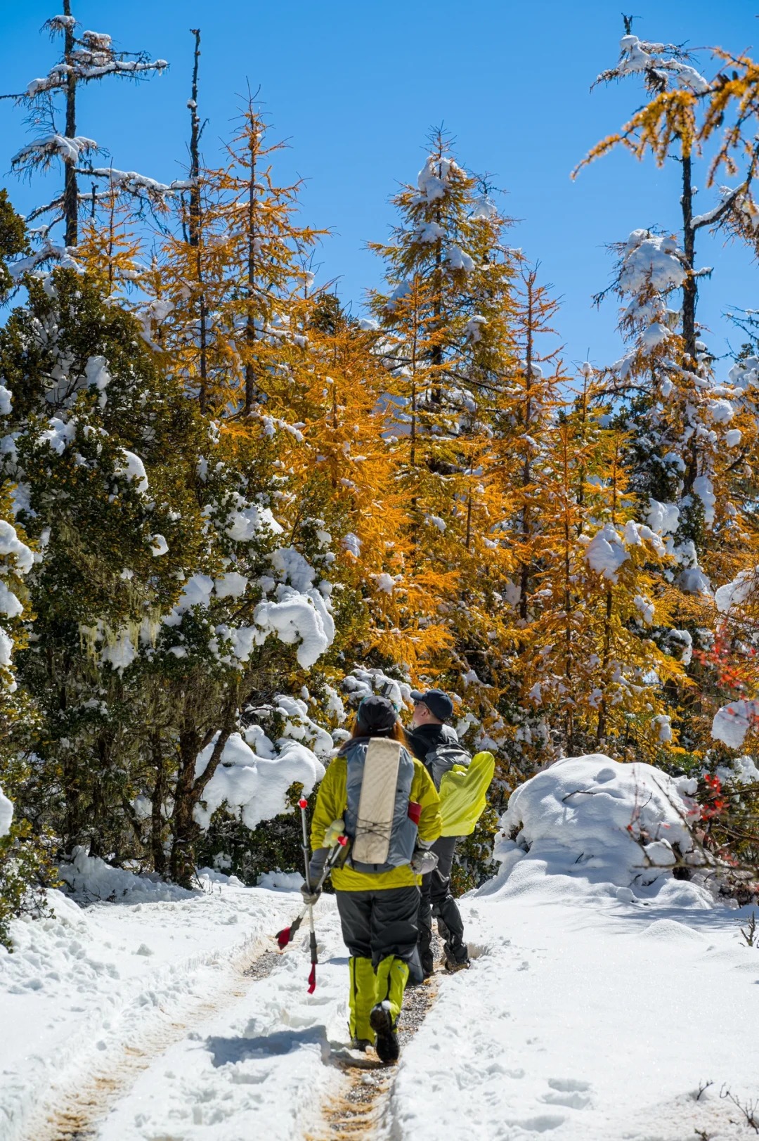 下雪后的阿布吉措直接封神_12_云南徒鹰📷_云南-香格里拉-来自52tours 我爱旅游网